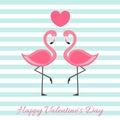 Happy Valentine`s Day with Flamingo vector illustration . lettering isolated illustration